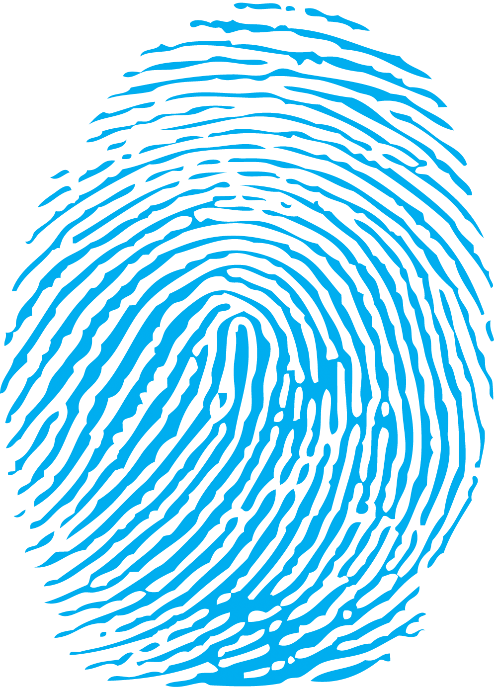 fingerprint